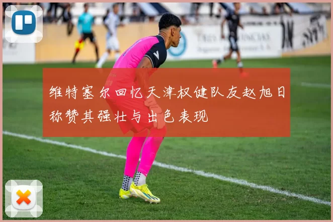 维特塞尔回忆天津权健队友赵旭日称赞其强壮与出色表现