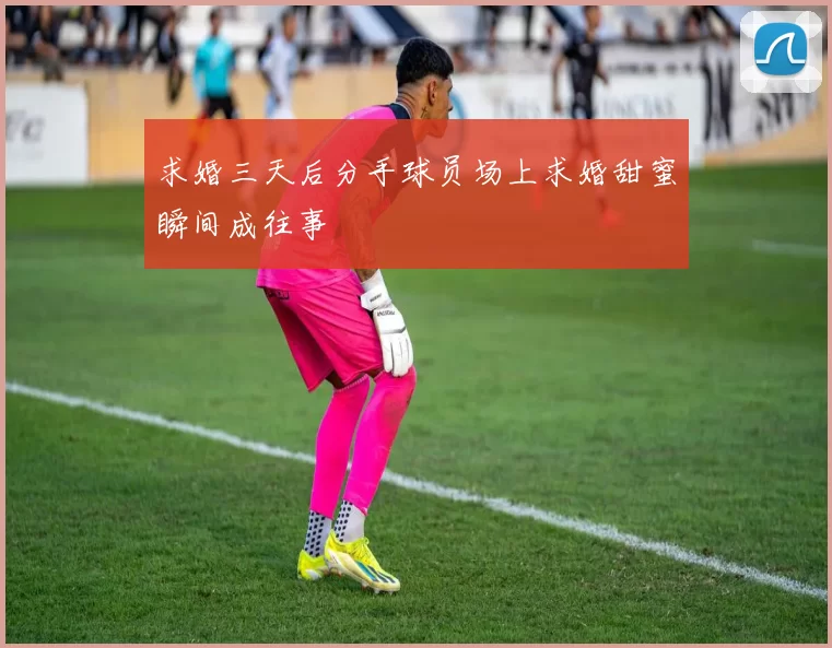 求婚三天后分手球员场上求婚甜蜜瞬间成往事